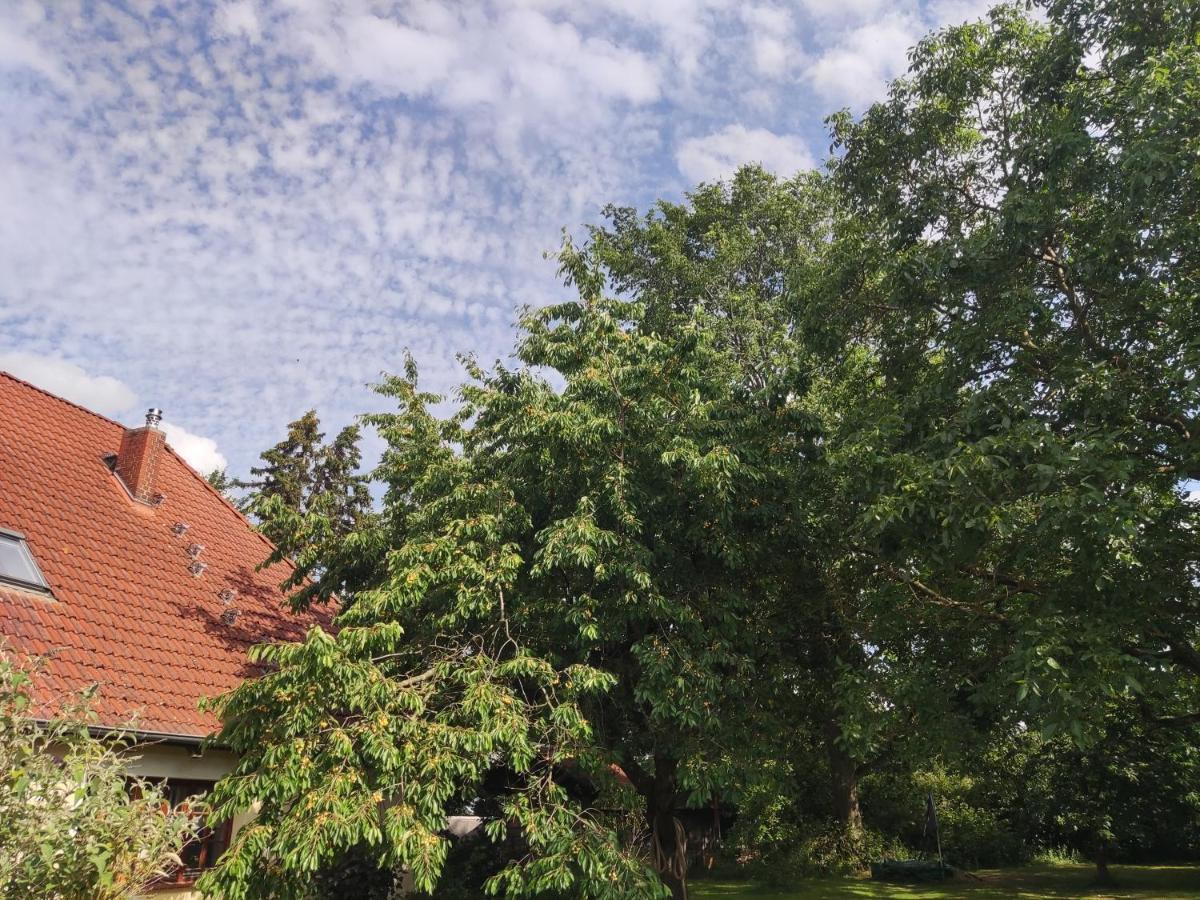 Five Oaks - Rote Wohnung Hohenkirchen  Kültér fotó